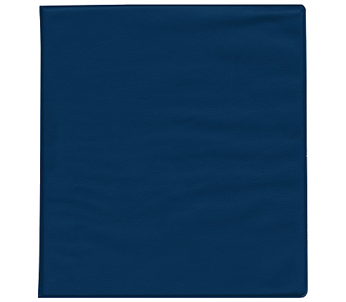 Blue Vinyl Business Register